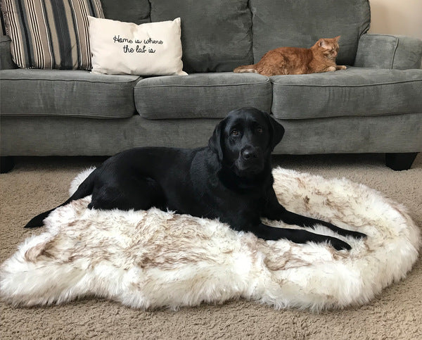 Beige Pet Dog Plush